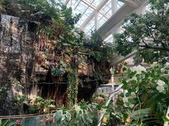 -正佳雨林生态植物园