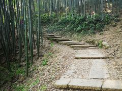 -西湖风景区十里琅珰-五云山