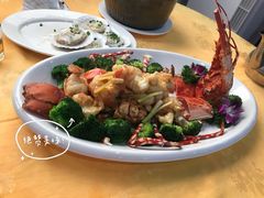 澳大利亚进口花龙-蚝专家(北滘店)