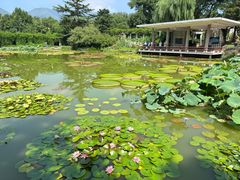 -国家植物园南园