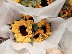 -循礼门鲜花花市(武汉循礼门店)