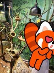 -Zoolung Zoolung动物主题公园(海信广场店)