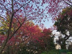 -乌山风景区