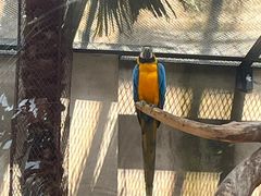 -大连森林动物园