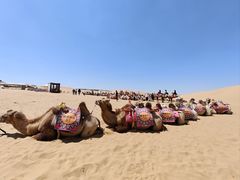 -银肯塔拉沙漠生态旅游景区