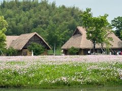 -良渚古城遗址公园