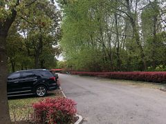 -金匮公园-南入口停车场