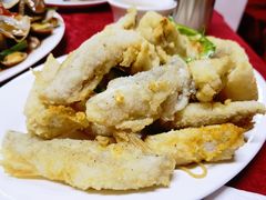 椒盐九肚鱼-蛇口康乐快餐鱼仔档(翠苑小区店)