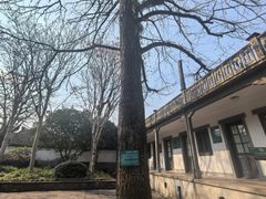 -蒋氏故居
