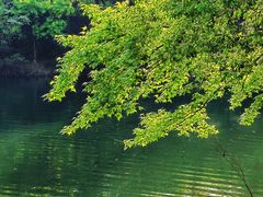 -杭州半山国家森林公园