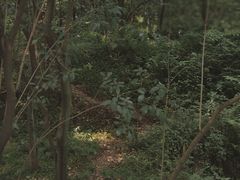 -渣滓洞