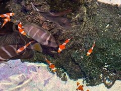 -沈阳海洋探索中心