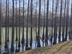 -苏州太湖国家湿地公园