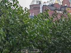 -宋园·上海菜(静安店)