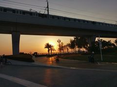 -宝安西湾红树林湿地公园