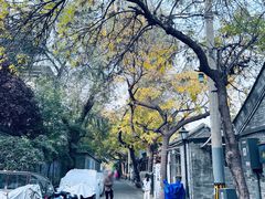 -VOYAGE COFFEE(北锣鼓巷店)