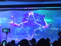 -大明湖海底世界
