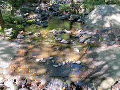 -云岫谷游猎自然风景区