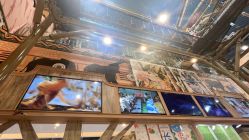 -卡通尼·Safari非洲探索乐园·生日会(金桥国际商业广场店)