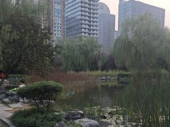 -木塔寺遗址生态公园