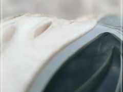 -玫瑰海岸文化旅游度假区