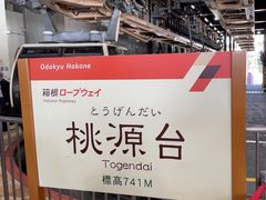 -桃源台景观餐厅