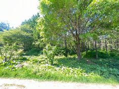 -香炉山国家森林公园