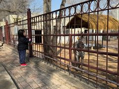 -青藏高原野生动物园