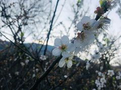 -广州市流溪河国家森林公园