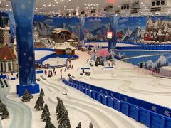 -长沙湘江冰雪世界