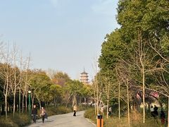 -蜀冈西峰生态公园