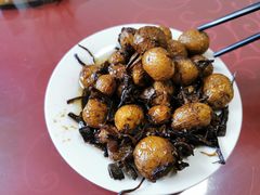 -瞻岐金锅饭店