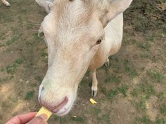 -野鸭湖国家湿地公园