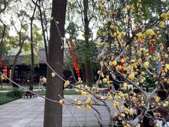 -成都杜甫草堂博物馆