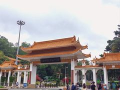 -深圳仙湖植物园