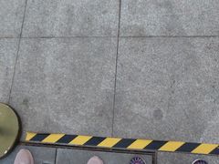 -武汉知音号