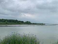 -合肥滨湖国家森林公园