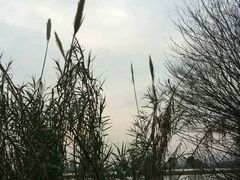 -艾溪湖湿地公园