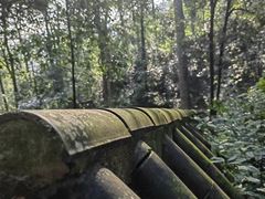 -都江堰普照寺