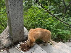 -北京凤凰岭