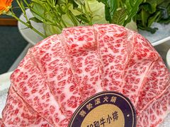 -喜聚薈·花膠雞海鮮火鍋(越秀店)