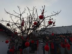 -甲乙丁書店·书茶咖·四合院