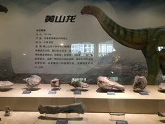 -安徽省地质博物馆