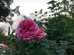 -人民公园(罗湖区)