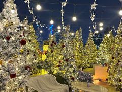 -城市露台景观餐厅(淮海路店)
