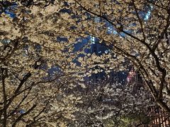 -陆家嘴中心绿地