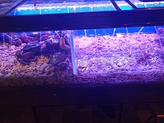 -simply thai天泰(静安嘉里中心店)