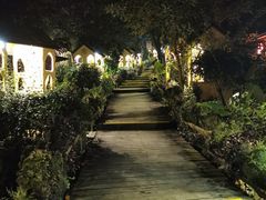 -天门沟九州驿站树上汤泉