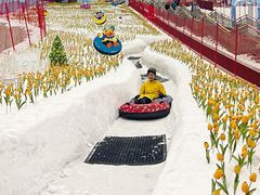 -广州热雪奇迹