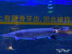 -成都浩海立方海洋公园